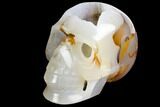 Polished Agate Skull with Druzy Quartz Crystal Pocket #148107-1